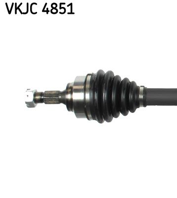 Kép 3