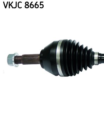 Kép 3