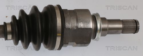 Kép 3