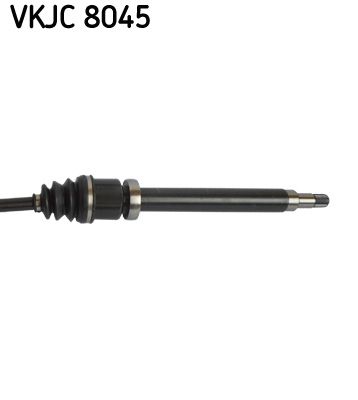 Kép 4