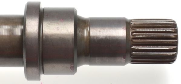 Kép 4