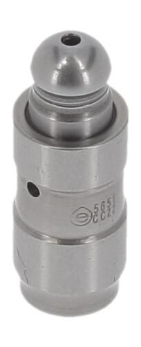 Kép 5