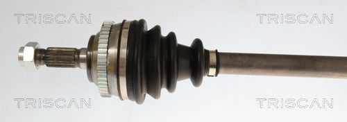 Kép 2