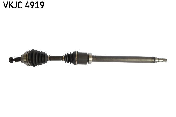 Kép 2