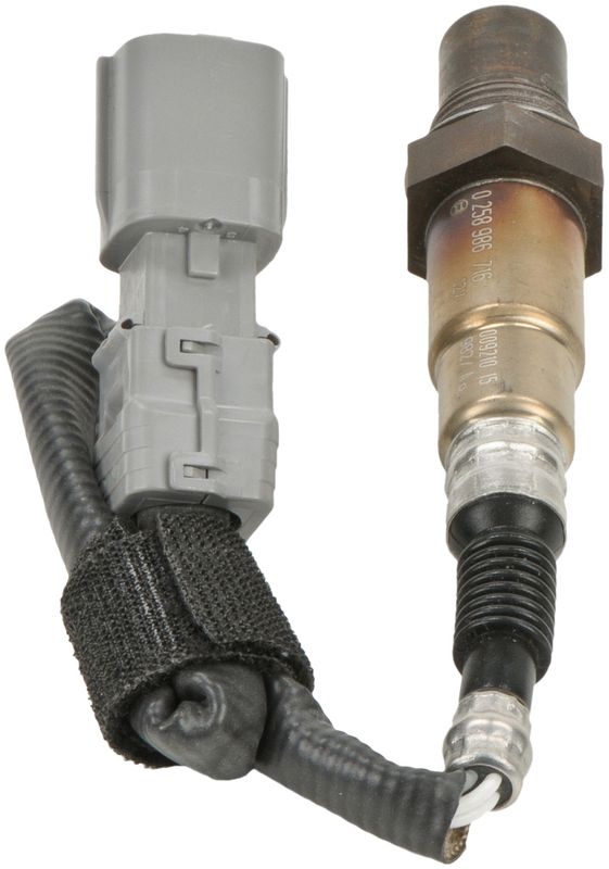 Kép 6