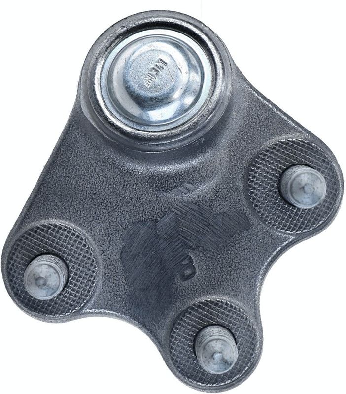 Kép 5