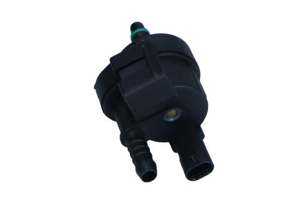 Kép 3