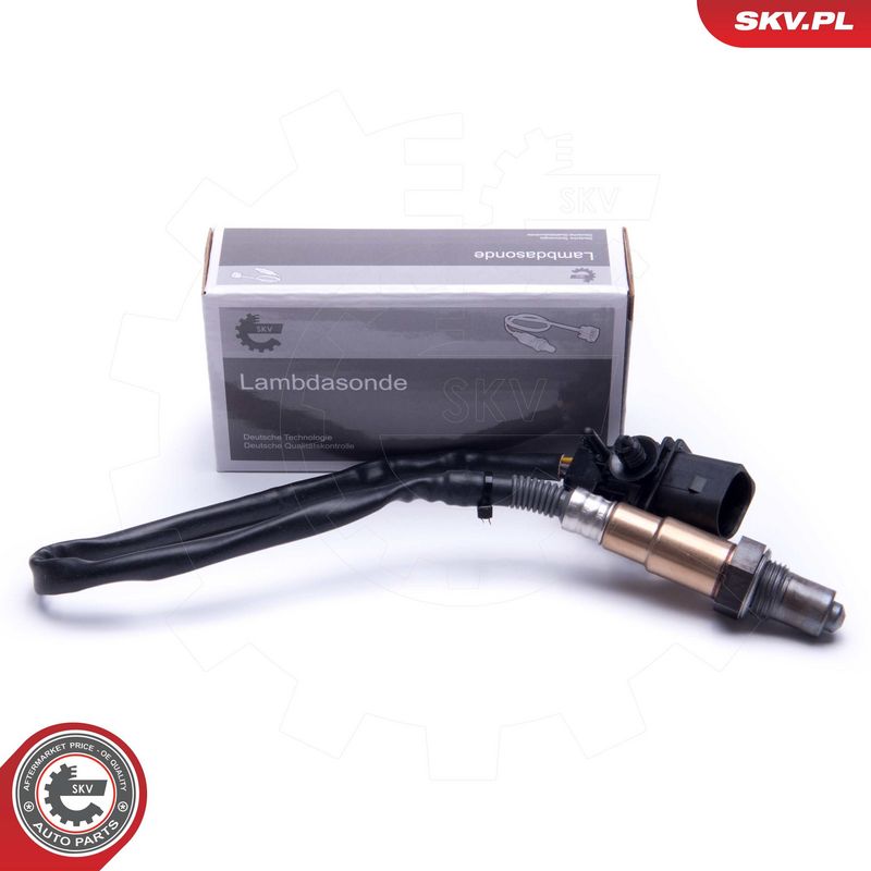 Kép 5