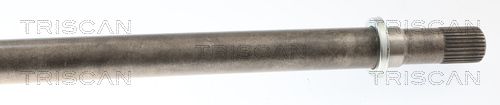 Kép 4