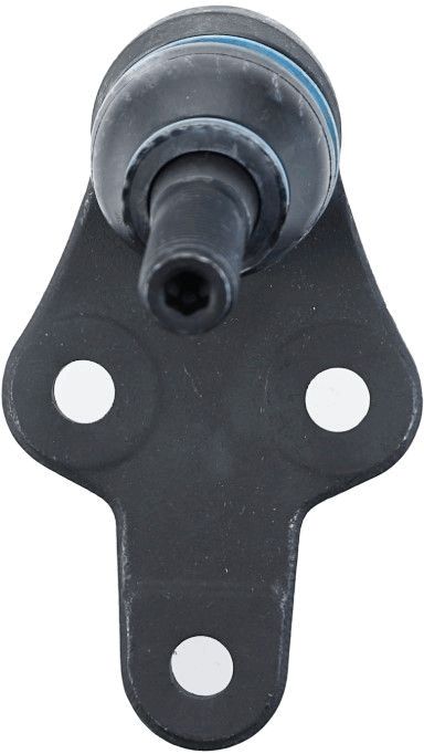 Kép 6
