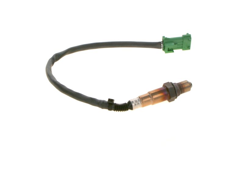 Kép 6