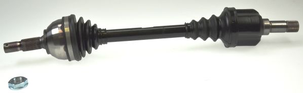 Kép 1
