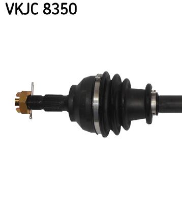 Kép 3
