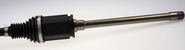 Kép 4
