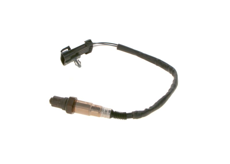 Kép 4
