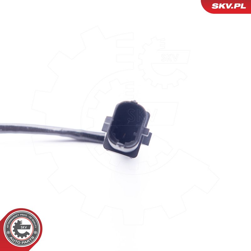 Kép 4
