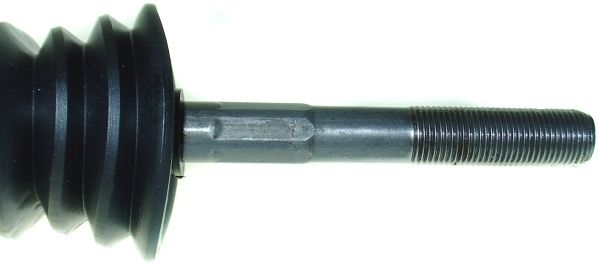 Kép 4