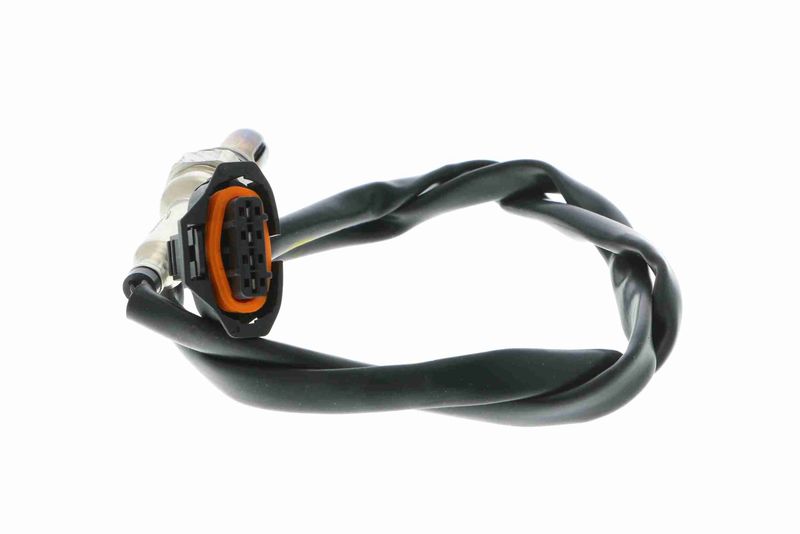 Kép 10