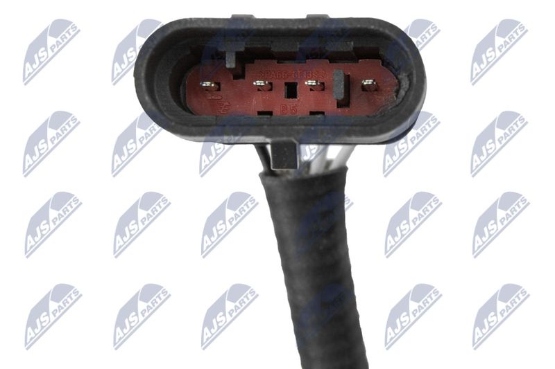Kép 4
