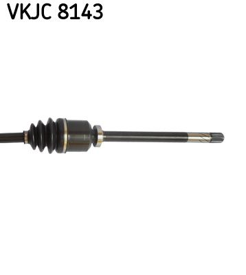 Kép 4