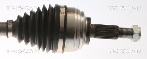 Kép 3