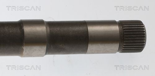 Kép 2
