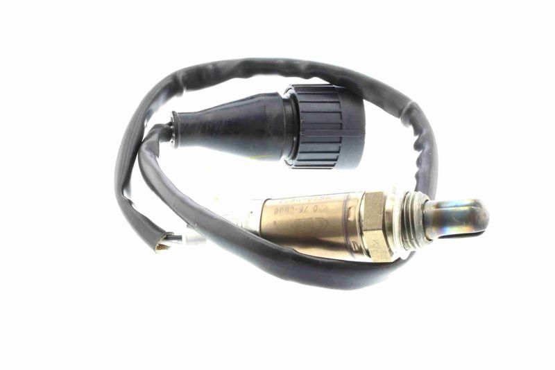 Kép 10
