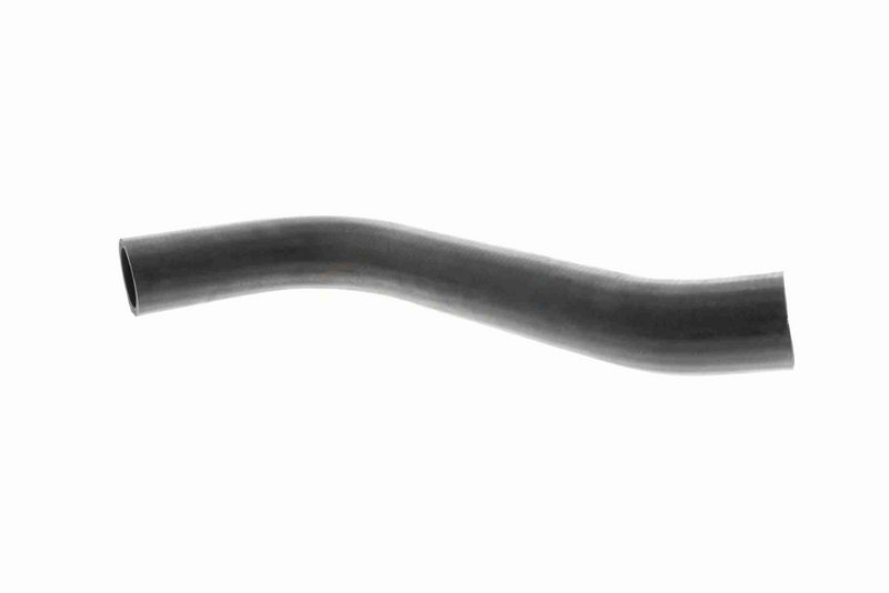Kép 8