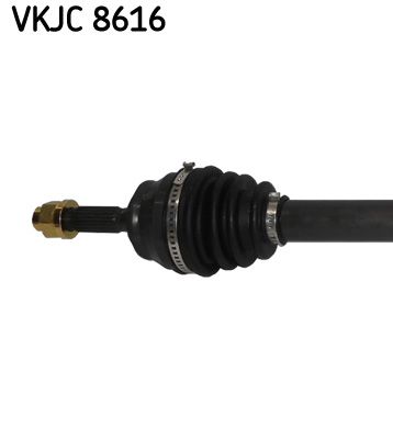 Kép 3