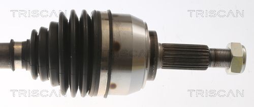 Kép 3