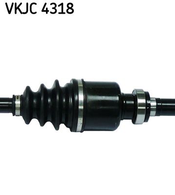 Kép 4