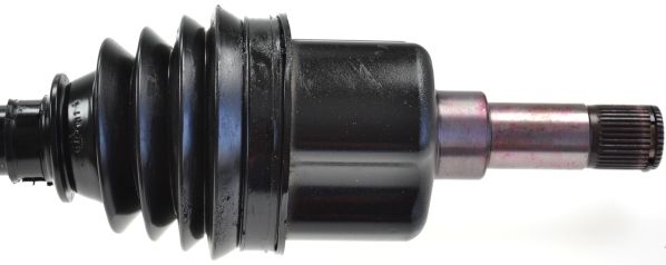 Kép 3