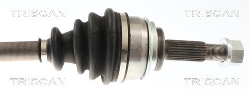 Kép 3