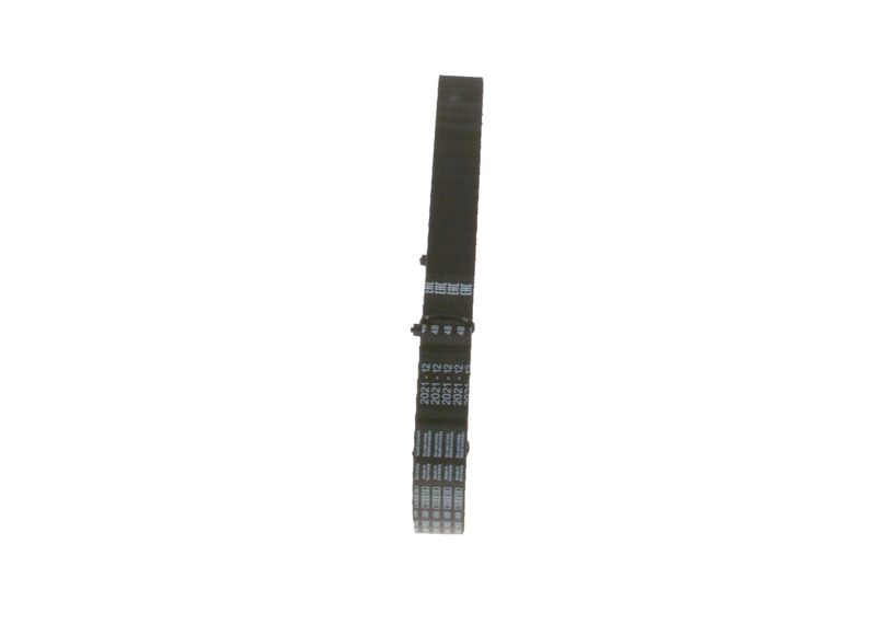 Kép 5