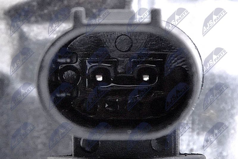 Kép 7