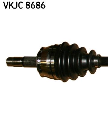 Kép 3