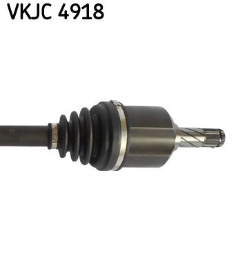 Kép 4