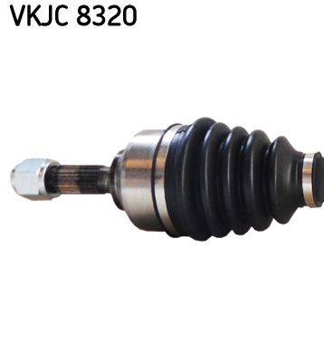 Kép 3