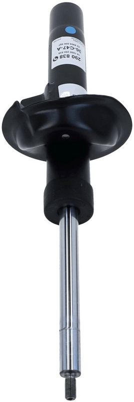 Kép 5