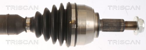 Kép 3