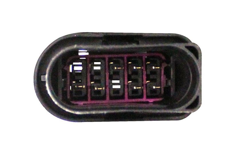 Kép 5