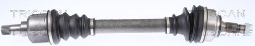 Kép 3