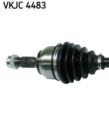 Kép 3