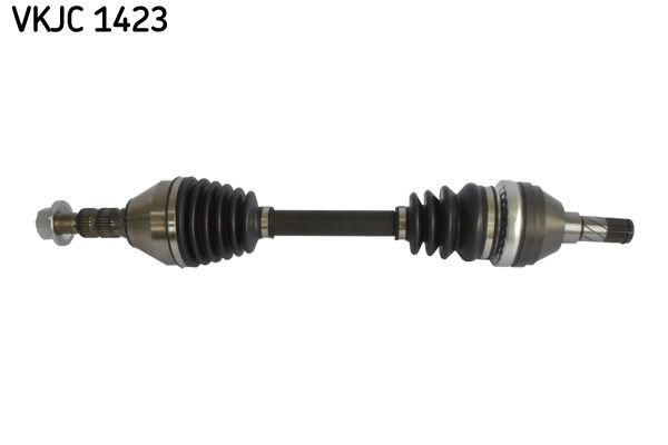 Kép 2