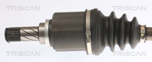 Kép 2