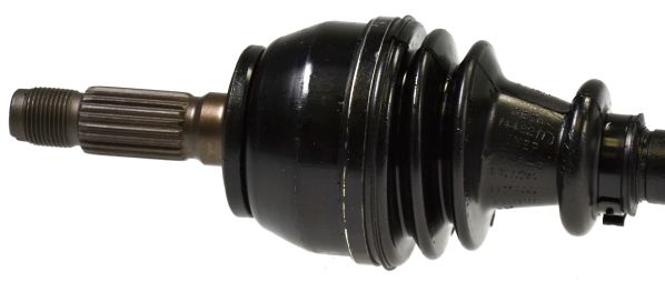 Kép 2