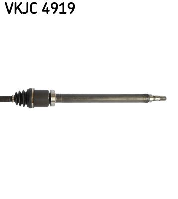 Kép 4