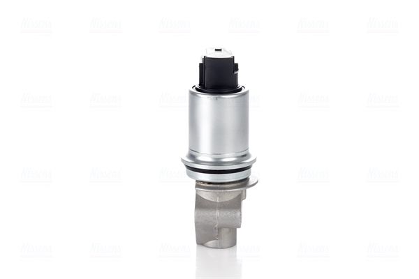 Kép 4