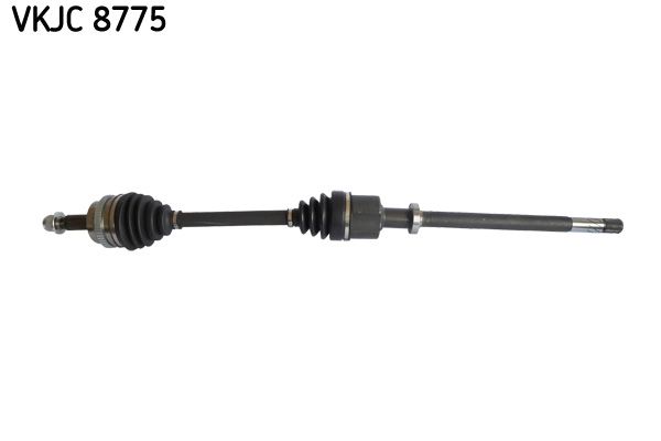 Kép 2