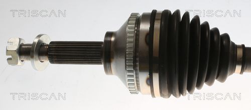 Kép 2
